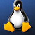 Linux通用保活方式-Screen教程